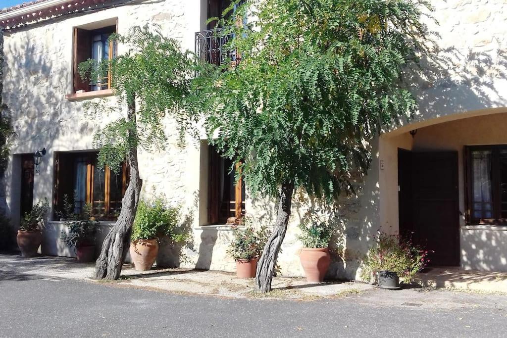 Apartament Chez Sheila Cucugnan Zewnętrze zdjęcie